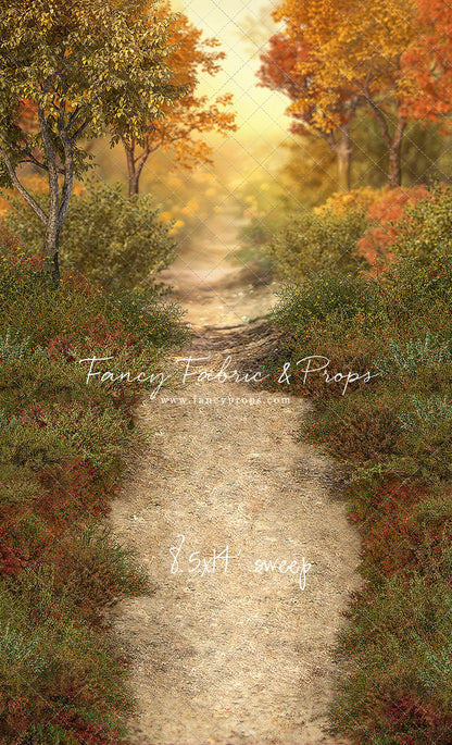 Autumn Forest Path - With Sweep Option