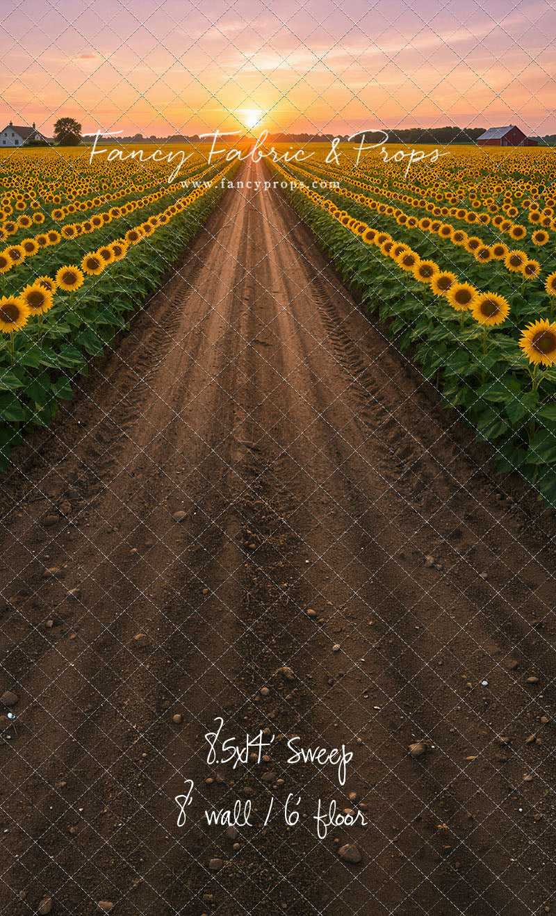 Sunflower Road - With Sweep Option