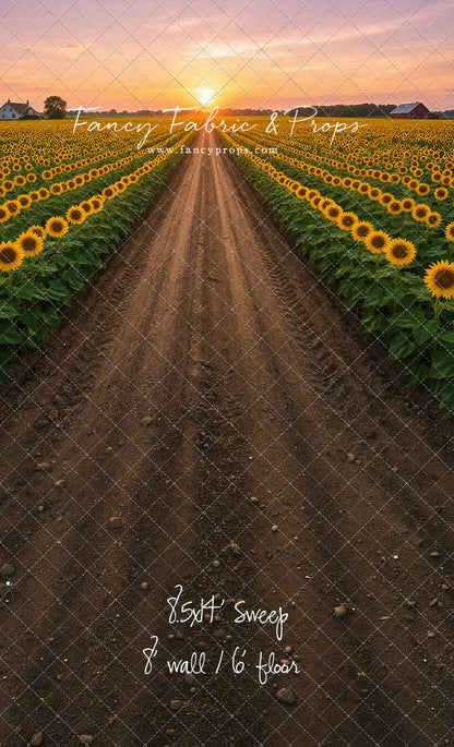 Sunflower Road - With Sweep Option