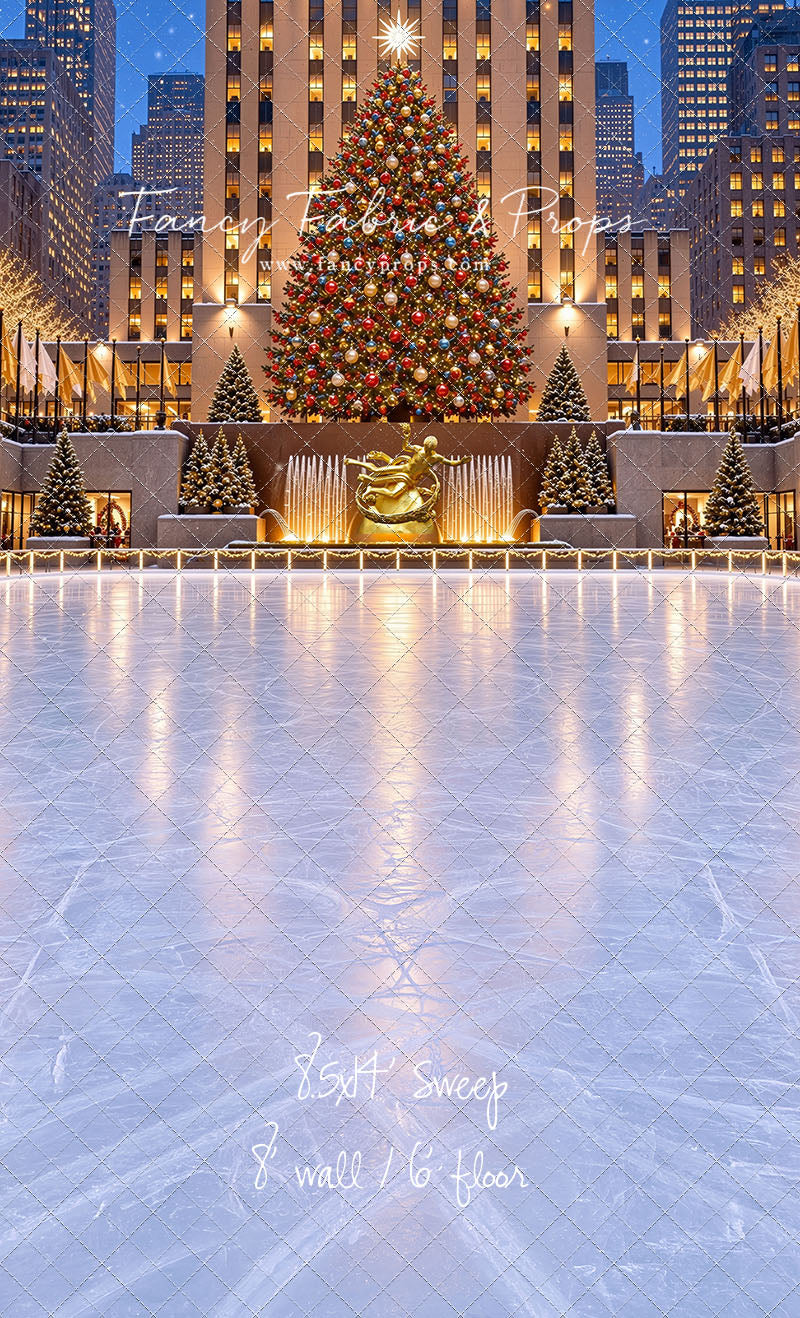 Wintertime Skating Rink - with Sweep Option