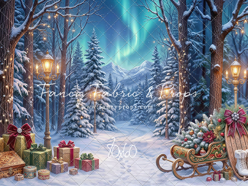 Aurora Winter Walk - with Sweep Option
