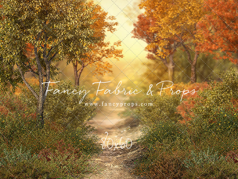 Autumn Forest Path - With Sweep Option