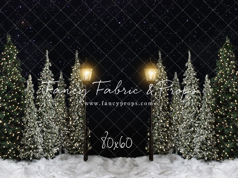 Christmas Forest Path