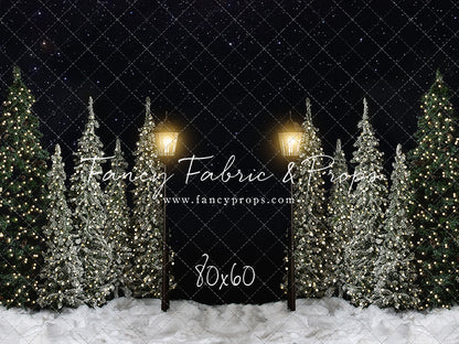 Christmas Forest Path