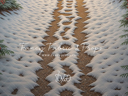 Christmas Path - Floor