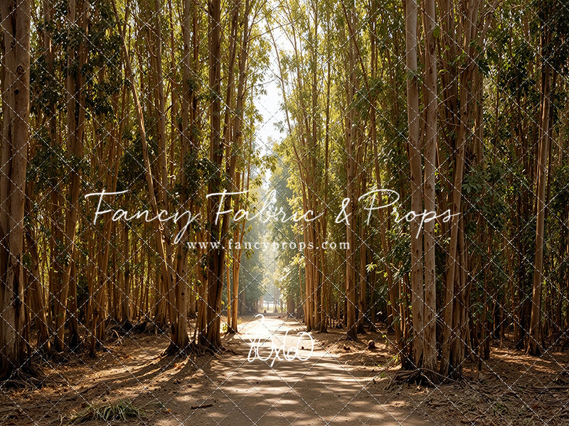 Eucalyptus Forest - With Sweep Option