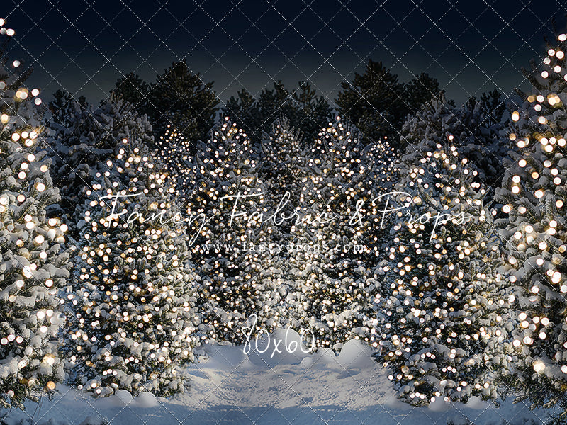 Evening Snowy Winter Tree Farm - No Gate