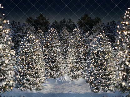 Evening Snowy Winter Tree Farm - No Gate