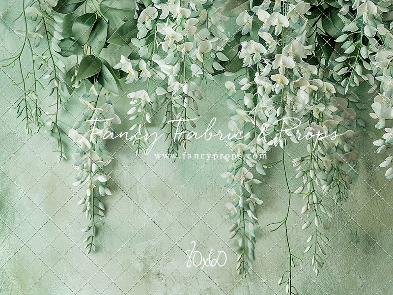 Painted White Wisteria