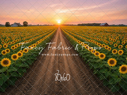 Sunflower Road - With Sweep Option