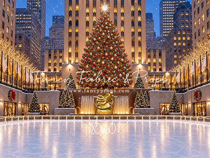 Wintertime Skating Rink - with Sweep Option