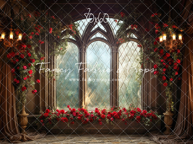 Belle's Castle Window