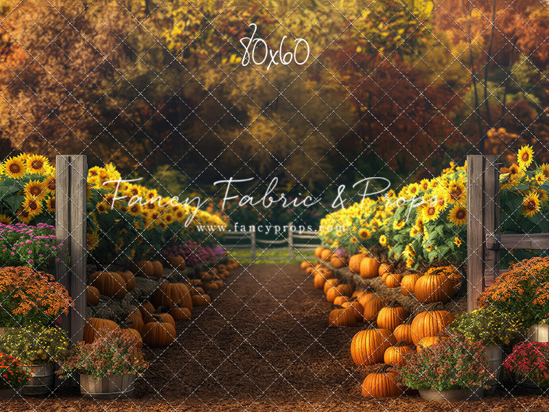 Sunflower Valley Trail - With Sweep Option