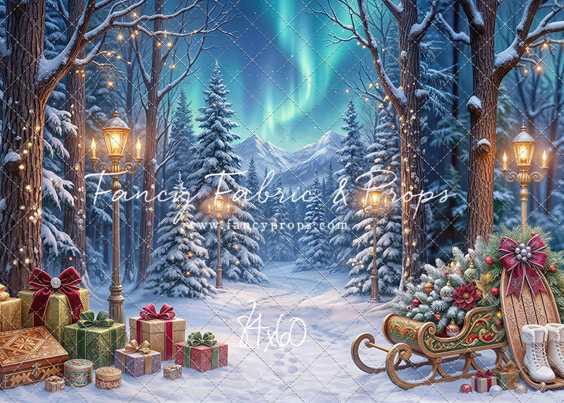 Aurora Winter Walk - with Sweep Option