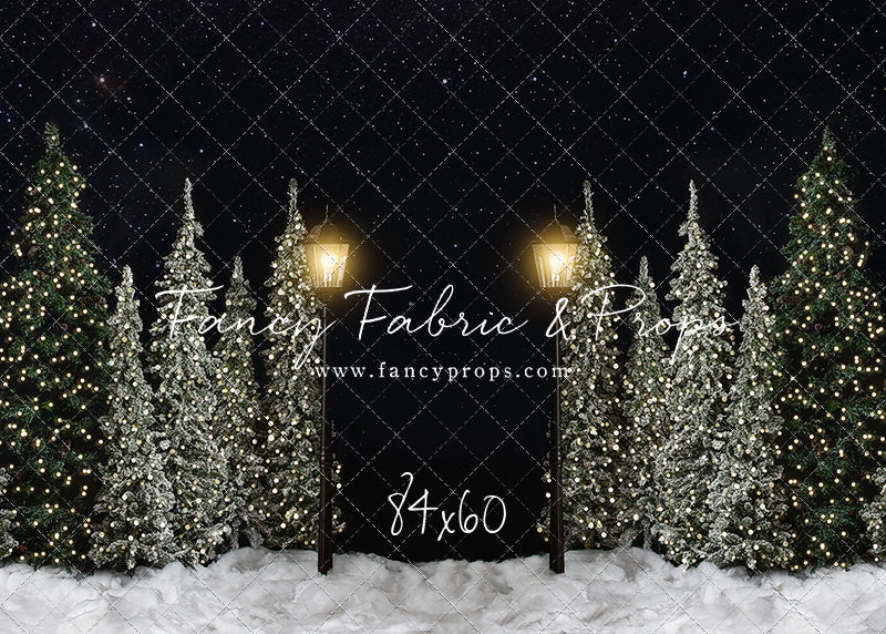 Christmas Forest Path