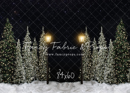 Christmas Forest Path