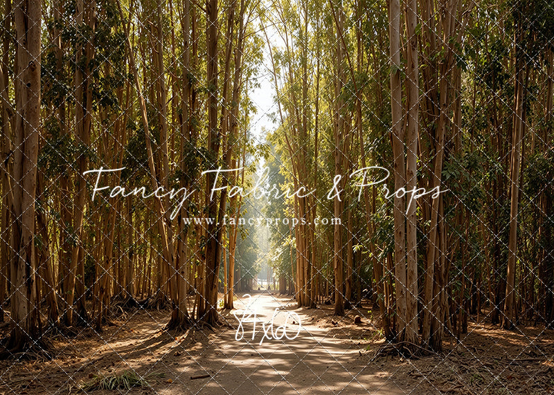 Eucalyptus Forest - With Sweep Option