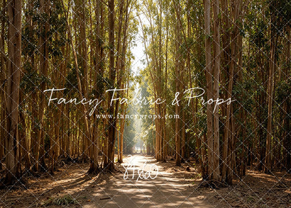 Eucalyptus Forest - With Sweep Option