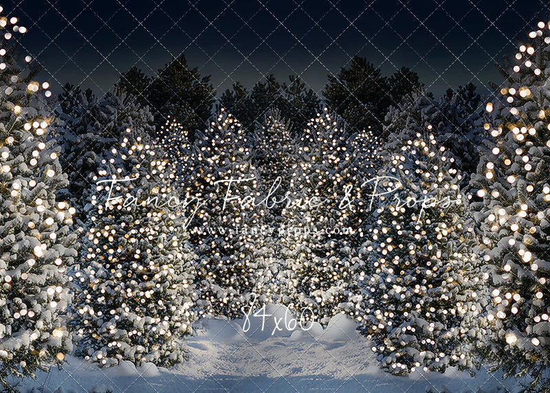 Evening Snowy Winter Tree Farm - No Gate