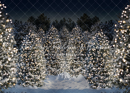 Evening Snowy Winter Tree Farm - No Gate