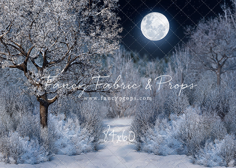 Frosty Winter Night - with Sweep Option