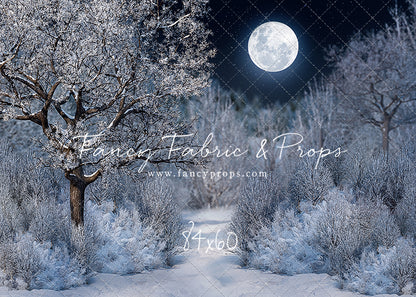 Frosty Winter Night - with Sweep Option