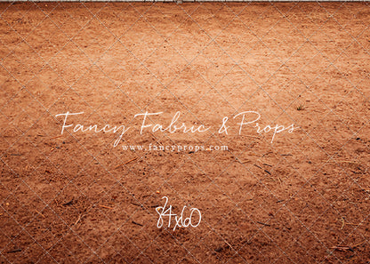 In the Dugout Floor