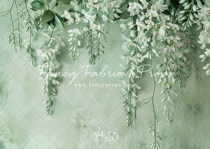 Painted White Wisteria