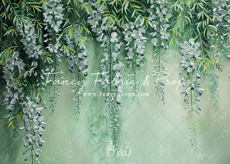 Painted Wisteria