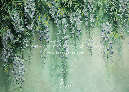 Painted Wisteria