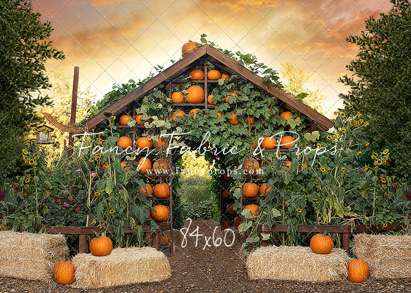 Pumpkin House