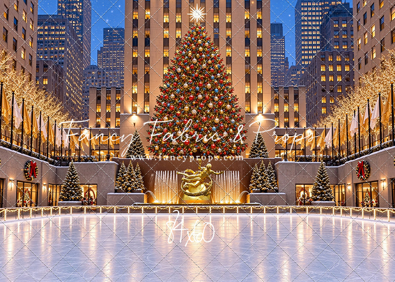 Wintertime Skating Rink - with Sweep Option