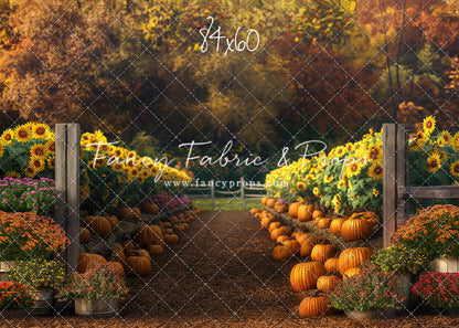 Sunflower Valley Trail - With Sweep Option