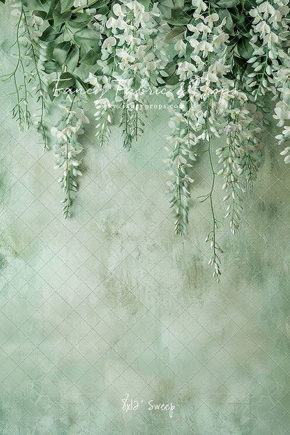 Painted White Wisteria