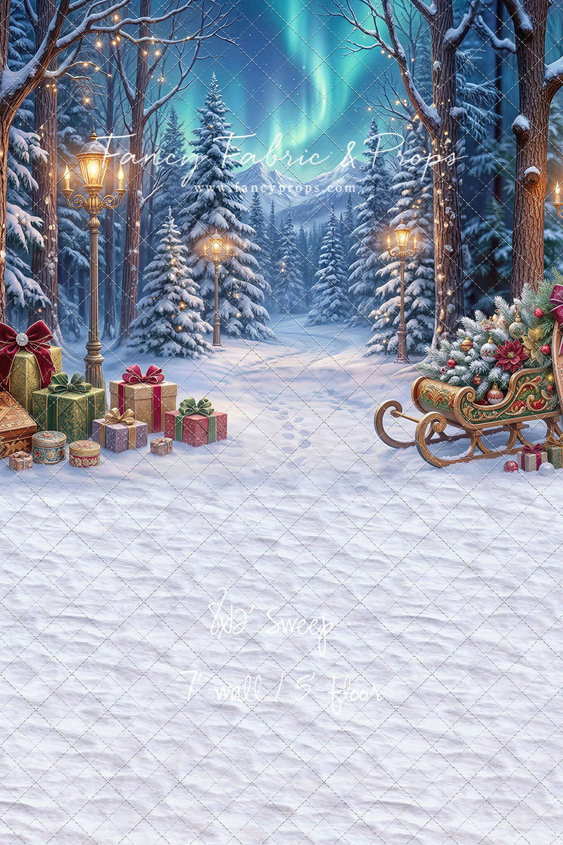 Aurora Winter Walk - with Sweep Option