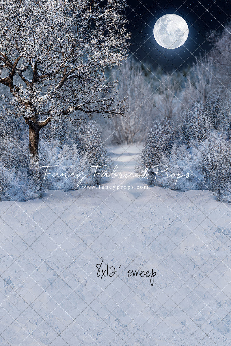 Frosty Winter Night - with Sweep Option