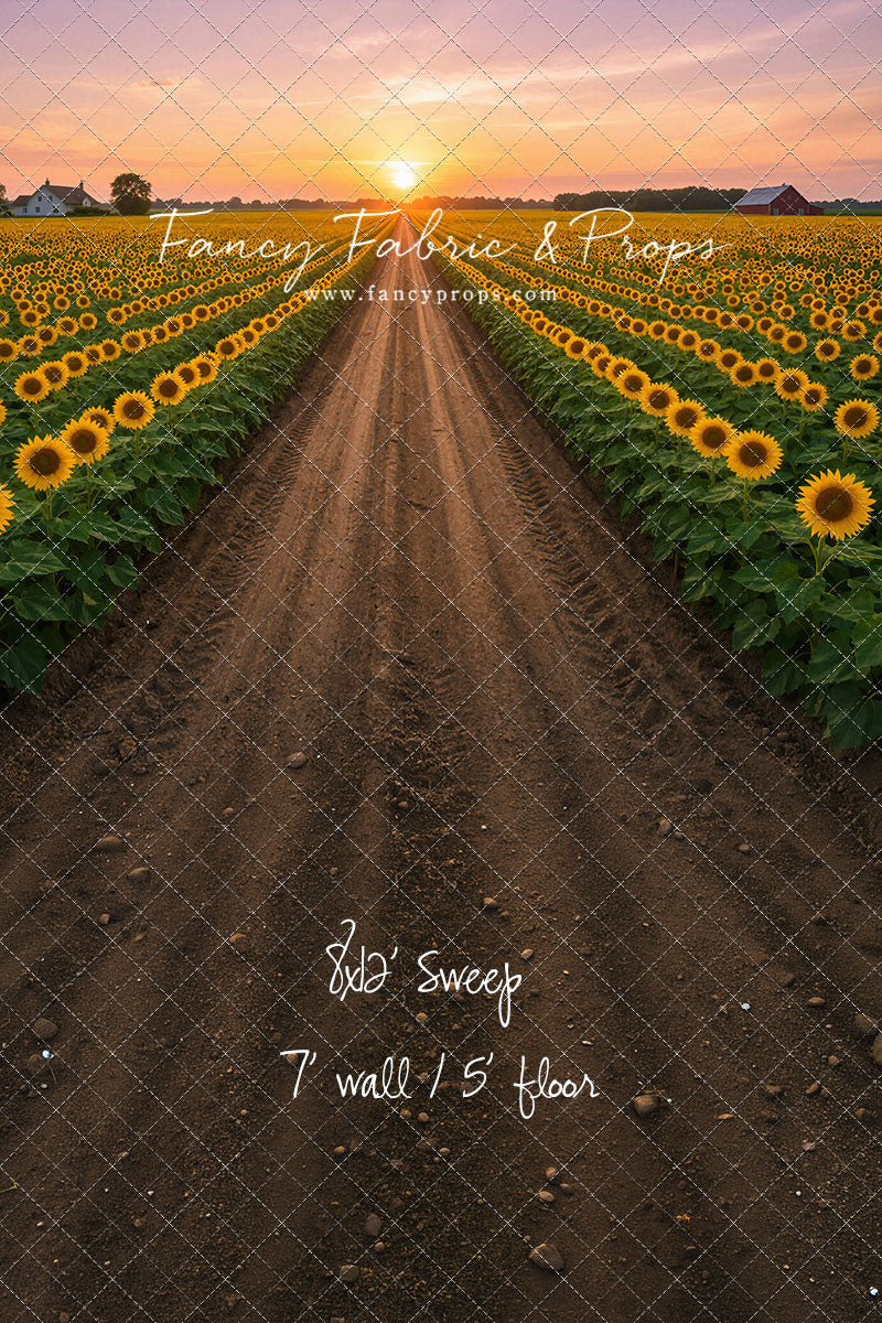 Sunflower Road - With Sweep Option