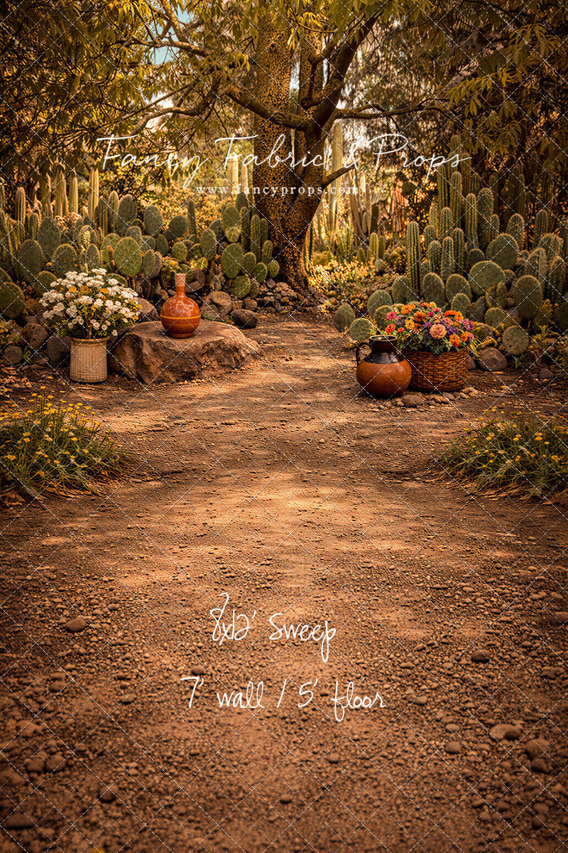 Sunlit Cactus Garden - With Sweep Option