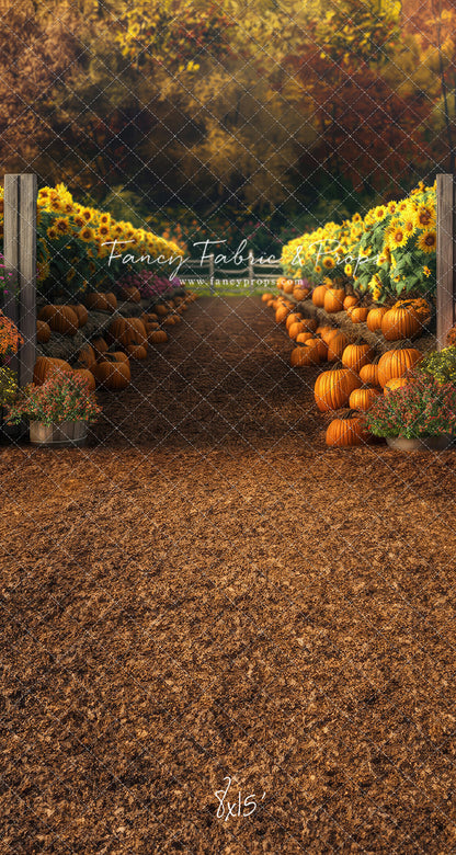 Sunflower Valley Trail - With Sweep Option