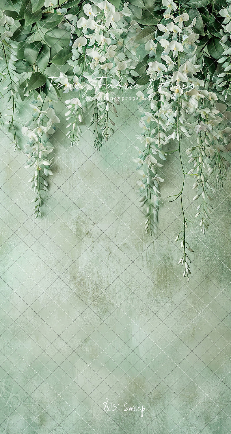 Painted White Wisteria