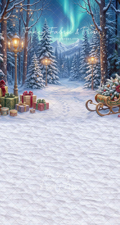 Aurora Winter Walk - with Sweep Option
