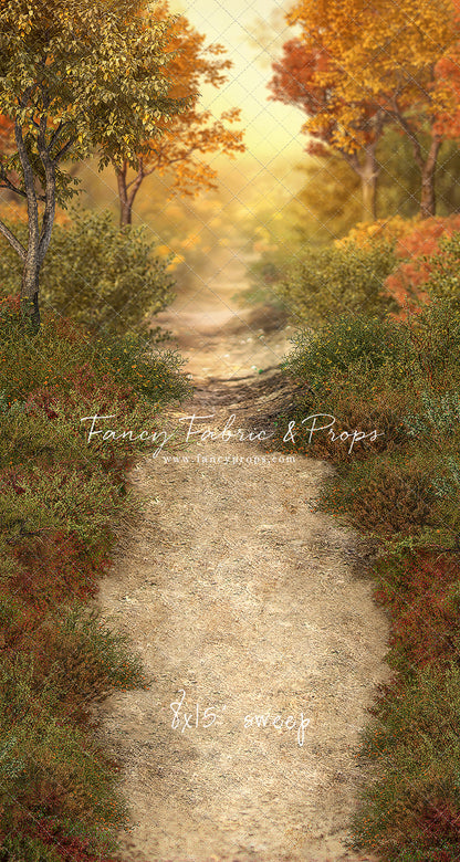 Autumn Forest Path - With Sweep Option