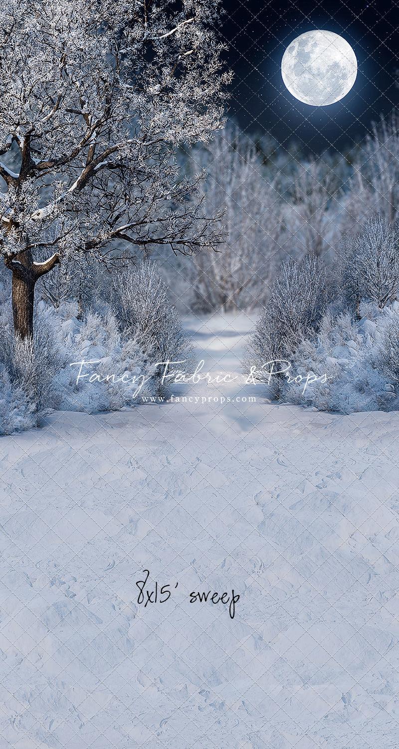 Frosty Winter Night - with Sweep Option