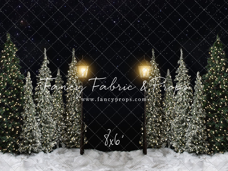 Christmas Forest Path