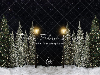 Christmas Forest Path