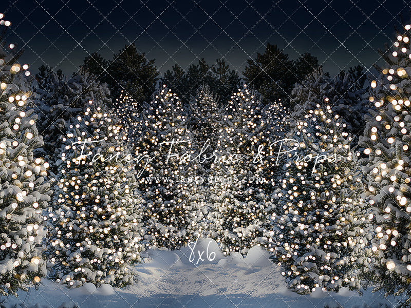 Evening Snowy Winter Tree Farm - No Gate