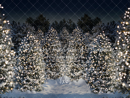 Evening Snowy Winter Tree Farm - No Gate