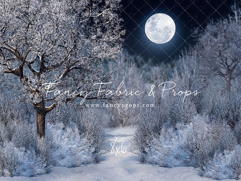 Frosty Winter Night - with Sweep Option