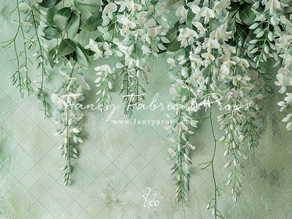 Painted White Wisteria