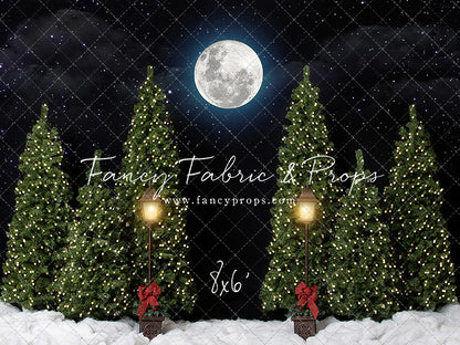 Fancy Red Barn Doors 2pc Mini Room